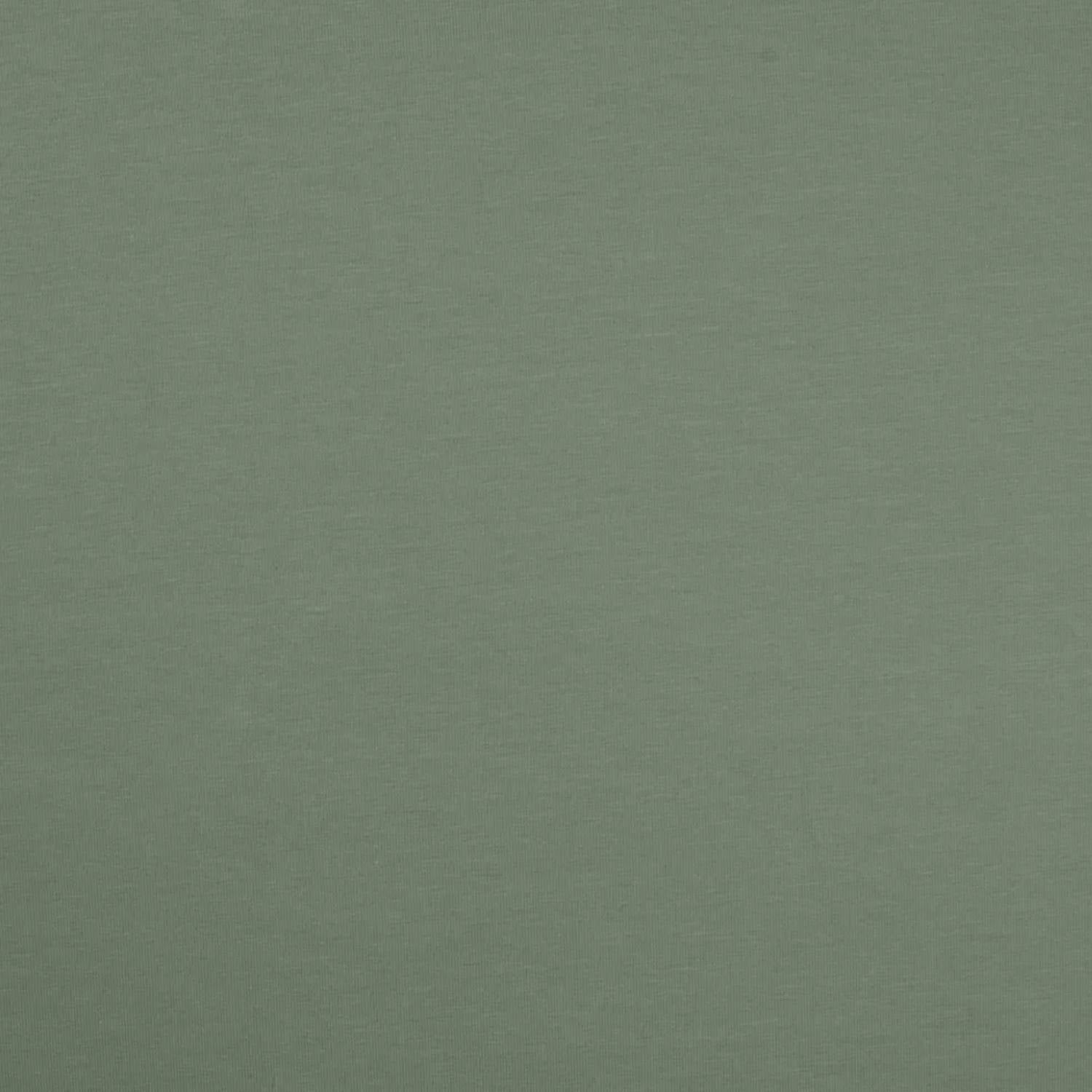 Jersey Stoff Mint